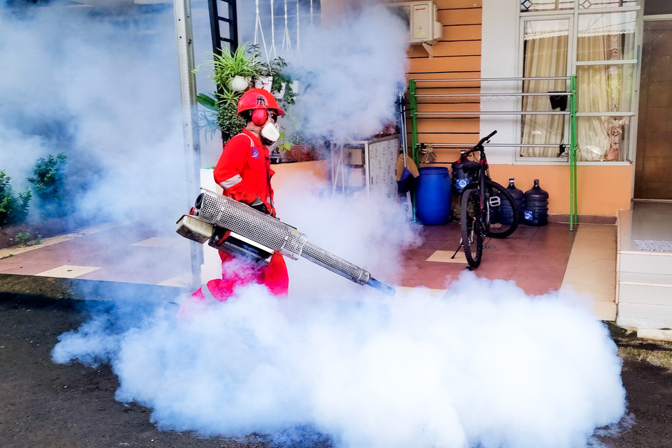 Fakta-Fakta Penting tentang Fogging